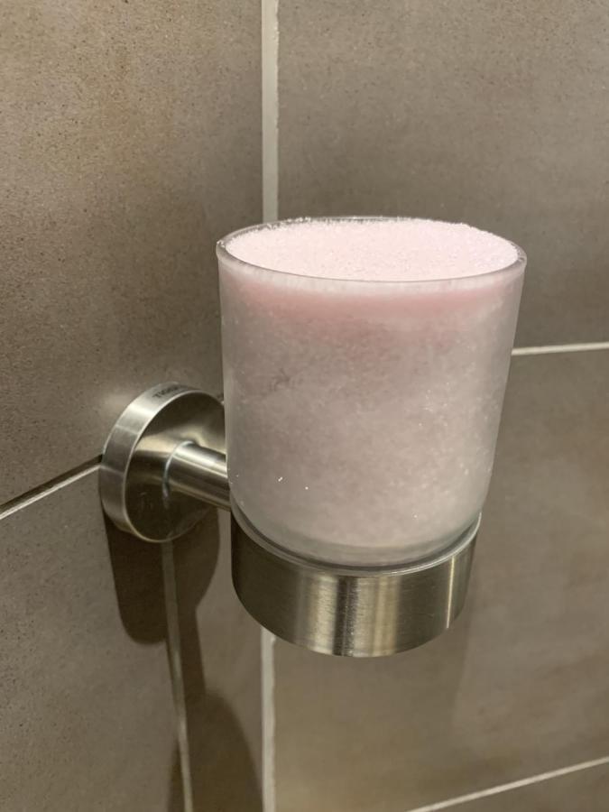 Zeeuws Ontspannen Bed & Wellness ميدلبورغ المظهر الخارجي الصورة